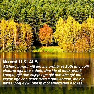 Numrat 11:31 ALB Bible Verse Image