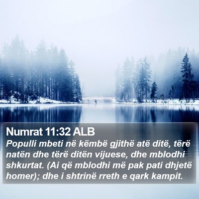 Numrat 11:32 ALB Bible Verse Image