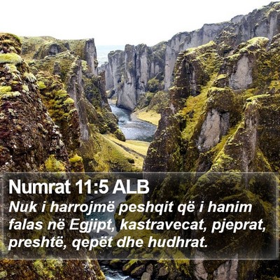Numrat 11:5 ALB Bible Verse Image