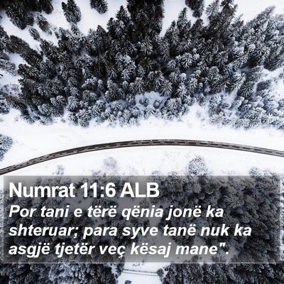 Numrat 11:6 ALB Bible Verse Image