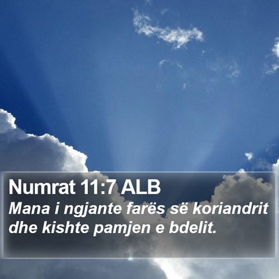 Numrat 11:7 ALB Bible Verse Image