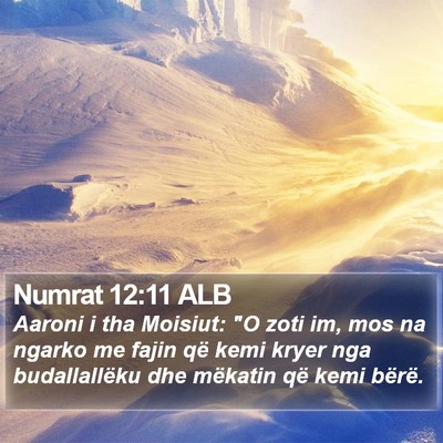 Numrat 12:11 ALB Bible Verse Image