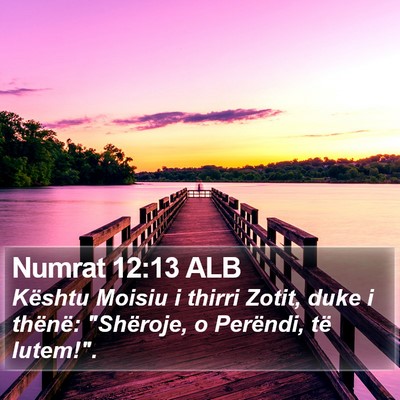 Numrat 12:13 ALB Bible Verse Image