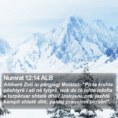 Numrat 12:14 ALB Bible Verse Image