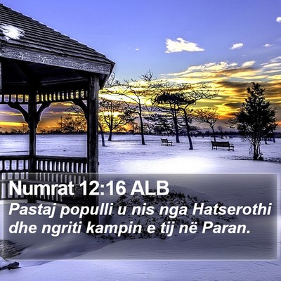 Numrat 12:16 ALB Bible Verse Image