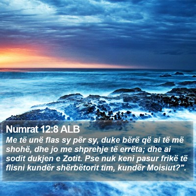 Numrat 12:8 ALB Bible Verse Image