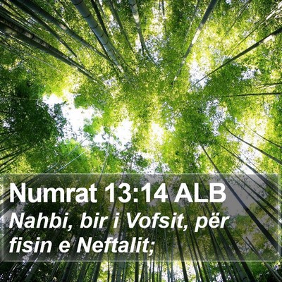 Numrat 13:14 ALB Bible Verse Image