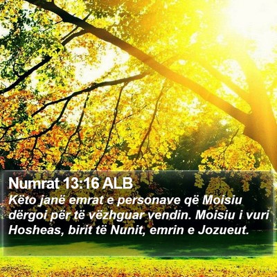 Numrat 13:16 ALB Bible Verse Image