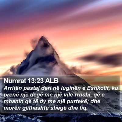 Numrat 13:23 ALB Bible Verse Image