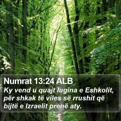 Numrat 13:24 ALB Bible Verse Image