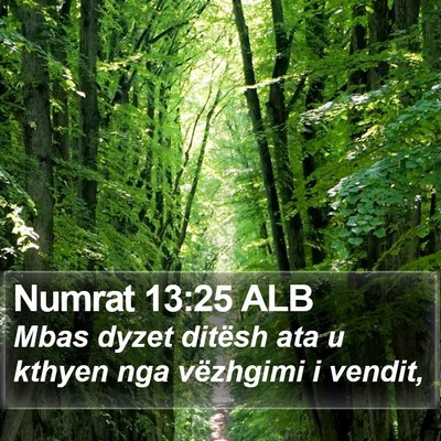 Numrat 13:25 ALB Bible Verse Image