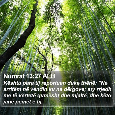 Numrat 13:27 ALB Bible Verse Image