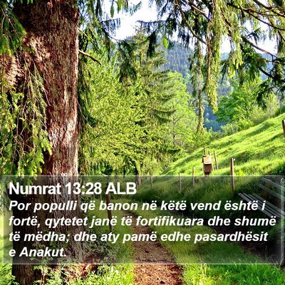 Numrat 13:28 ALB Bible Verse Image