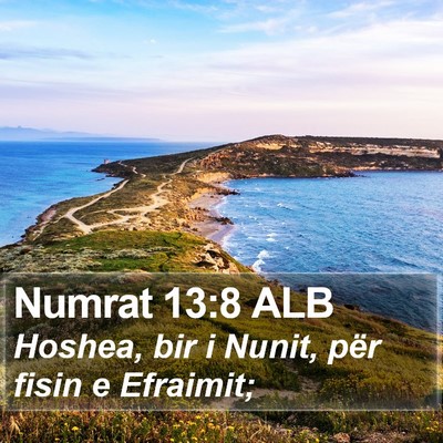 Numrat 13:8 ALB Bible Verse Image