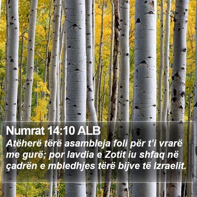 Numrat 14:10 ALB Bible Verse Image