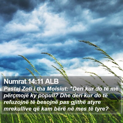 Numrat 14:11 ALB Bible Verse Image