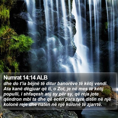 Numrat 14:14 ALB Bible Verse Image