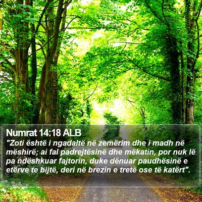 Numrat 14:18 ALB Bible Verse Image