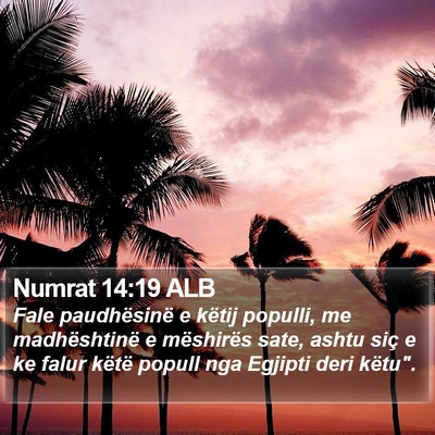 Numrat 14:19 ALB Bible Verse Image