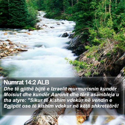 Numrat 14:2 ALB Bible Verse Image