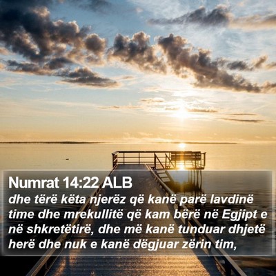 Numrat 14:22 ALB Bible Verse Image