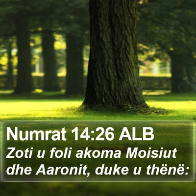 Numrat 14:26 ALB Bible Verse Image