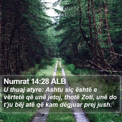 Numrat 14:28 ALB Bible Verse Image