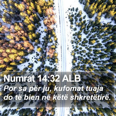 Numrat 14:32 ALB Bible Verse Image