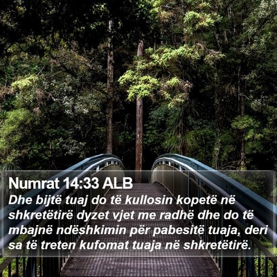 Numrat 14:33 ALB Bible Verse Image
