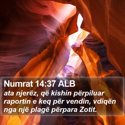 Numrat 14:37 ALB Bible Verse Image
