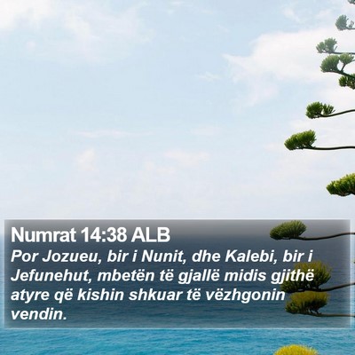 Numrat 14:38 ALB Bible Verse Image