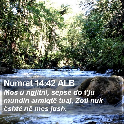 Numrat 14:42 ALB Bible Verse Image