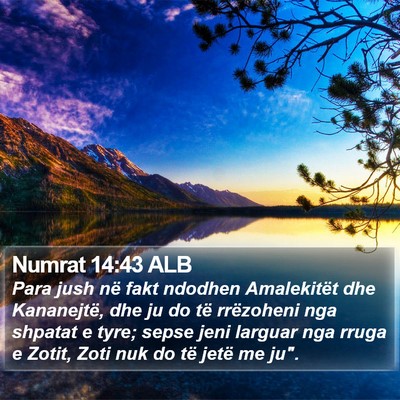 Numrat 14:43 ALB Bible Verse Image