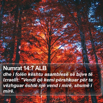 Numrat 14:7 ALB Bible Verse Image
