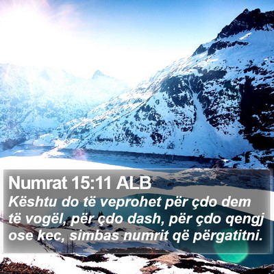 Numrat 15:11 ALB Bible Verse Image