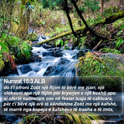 Numrat 15:3 ALB Bible Verse Image