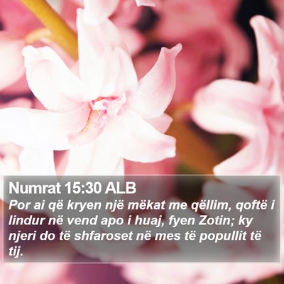 Numrat 15:30 ALB Bible Verse Image