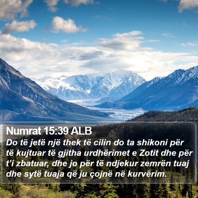Numrat 15:39 ALB Bible Verse Image
