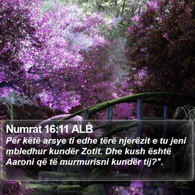 Numrat 16:11 ALB Bible Verse Image