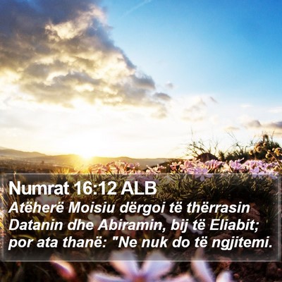 Numrat 16:12 ALB Bible Verse Image