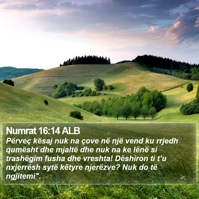 Numrat 16:14 ALB Bible Verse Image