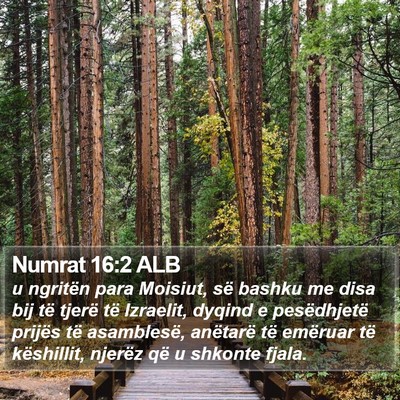 Numrat 16:2 ALB Bible Verse Image