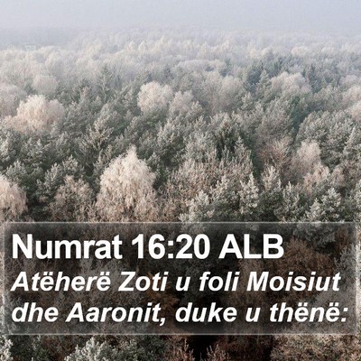 Numrat 16:20 ALB Bible Verse Image