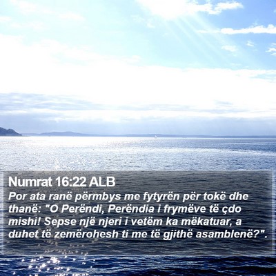 Numrat 16:22 ALB Bible Verse Image