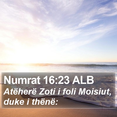 Numrat 16:23 ALB Bible Verse Image