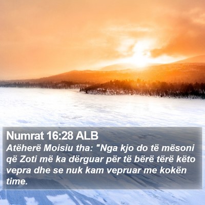 Numrat 16:28 ALB Bible Verse Image