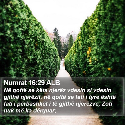 Numrat 16:29 ALB Bible Verse Image