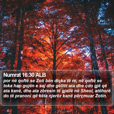 Numrat 16:30 ALB Bible Verse Image