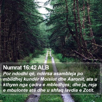 Numrat 16:42 ALB Bible Verse Image