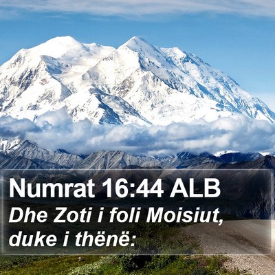 Numrat 16:44 ALB Bible Verse Image